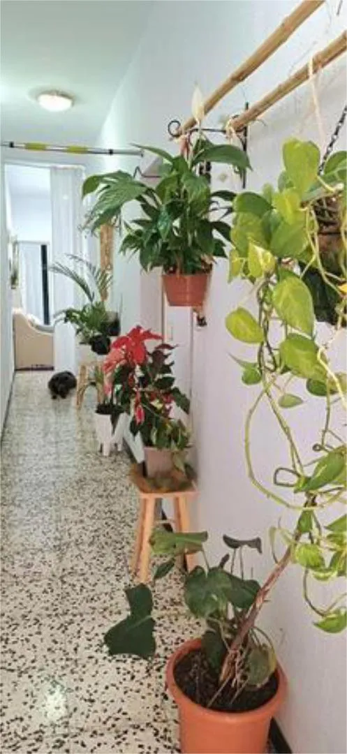 Piso en El Sobradillo - Foto 1