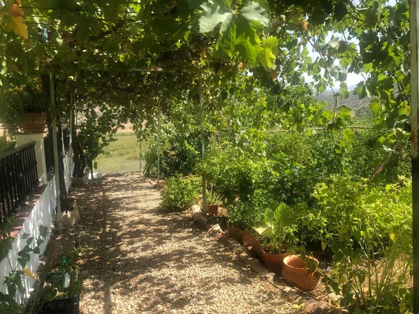 Casa rural en Ja-3307, 11 - Foto 33