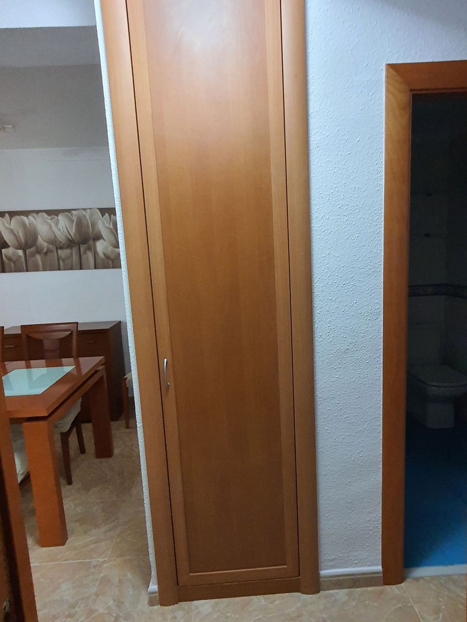 Piso en Calle Pinosol, 16, Gibralfaro - Foto 13