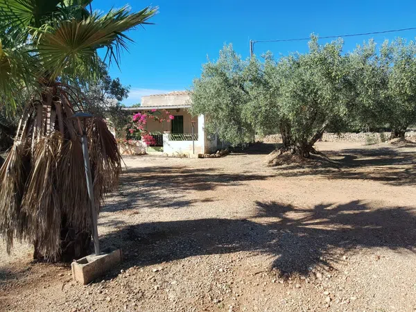 Casa o chalet independiente en Camino de Mossèn Vicent, 29 - Foto 3