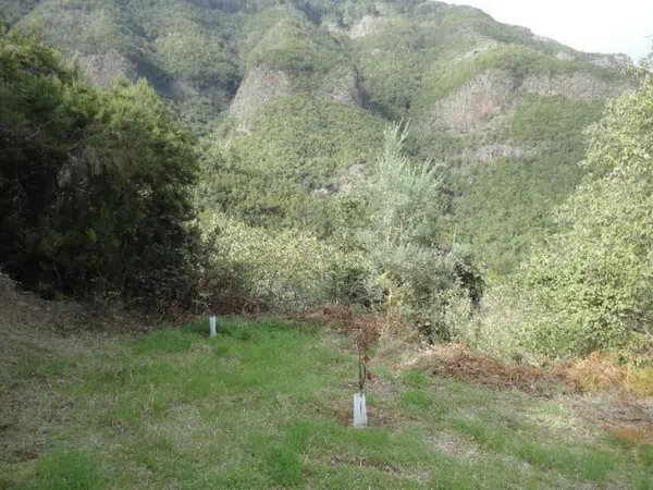 Casa o chalet independiente en Camino El Madroño, 24, Montaña-Zamora-Cruz Santa-Palo Blanco, Montaña-Zamora-Cruz Santa-Palo Blanco - Foto 12