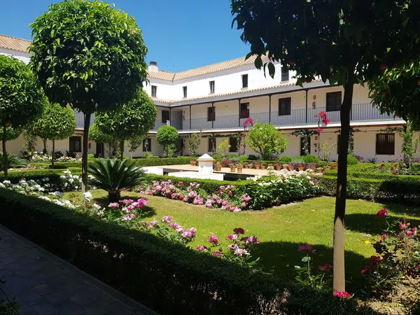 Dúplex en Calle San Laureano, 2, San Vicente - Foto 2