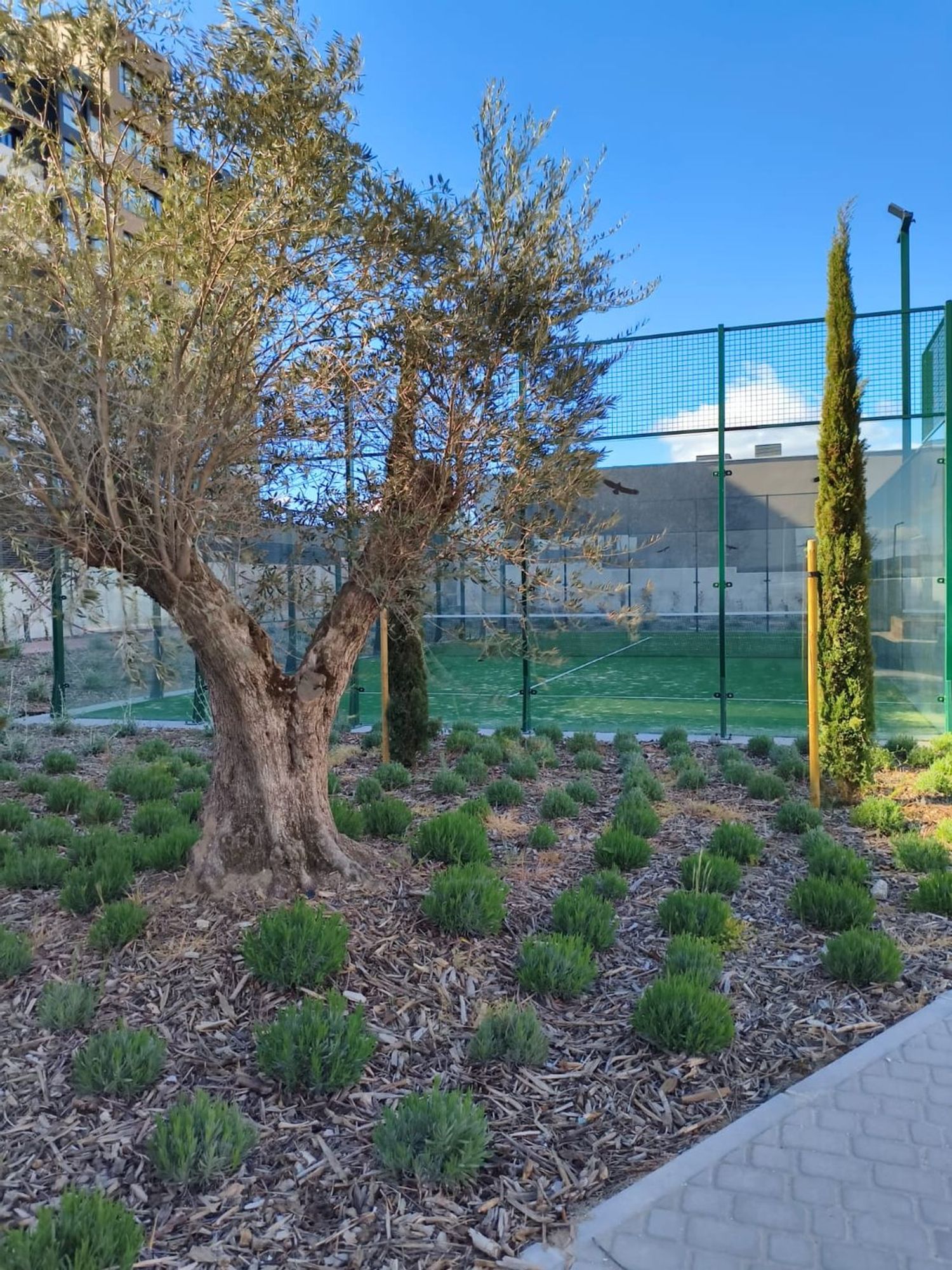 Piso en calle de Rafael Moneo, 1 - Foto 2