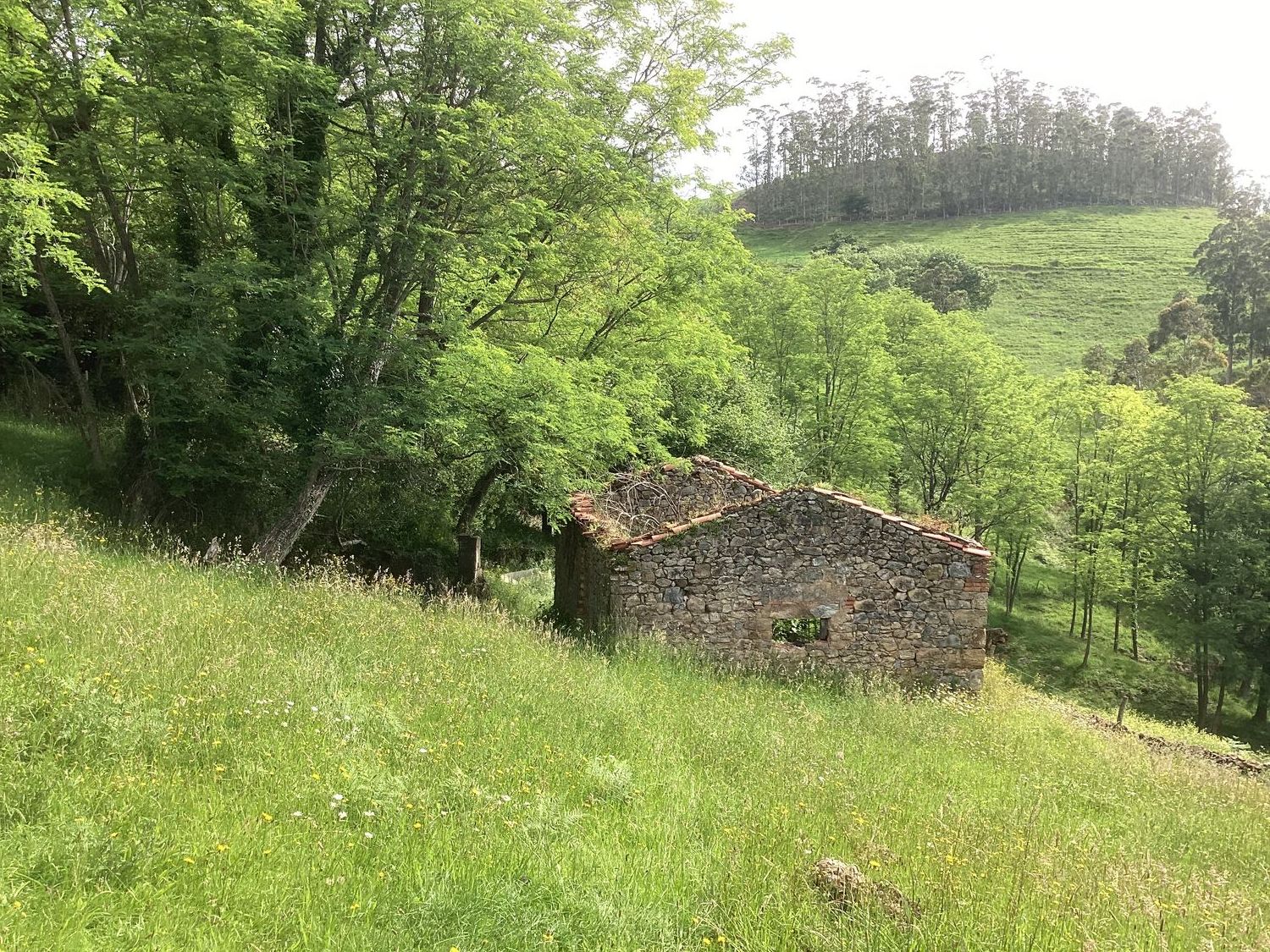 Casa rural en Avenida Alisas, 3 Km - Foto 10