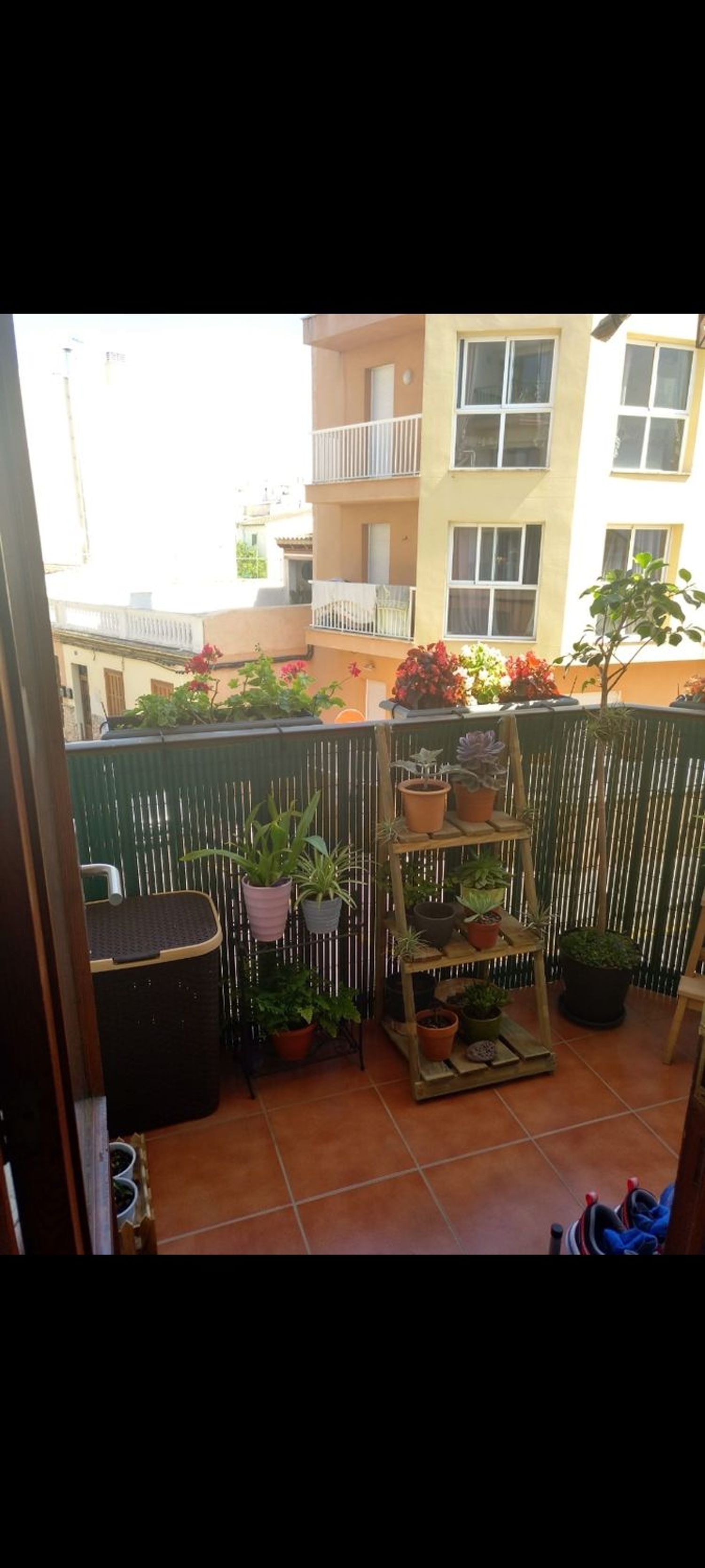 Piso en Portixol-Molinar - Foto 11