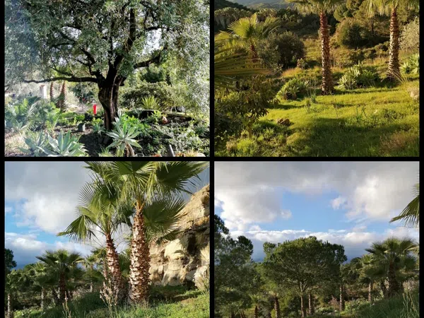 Casa independiente en Carretera, 188 - Foto 35