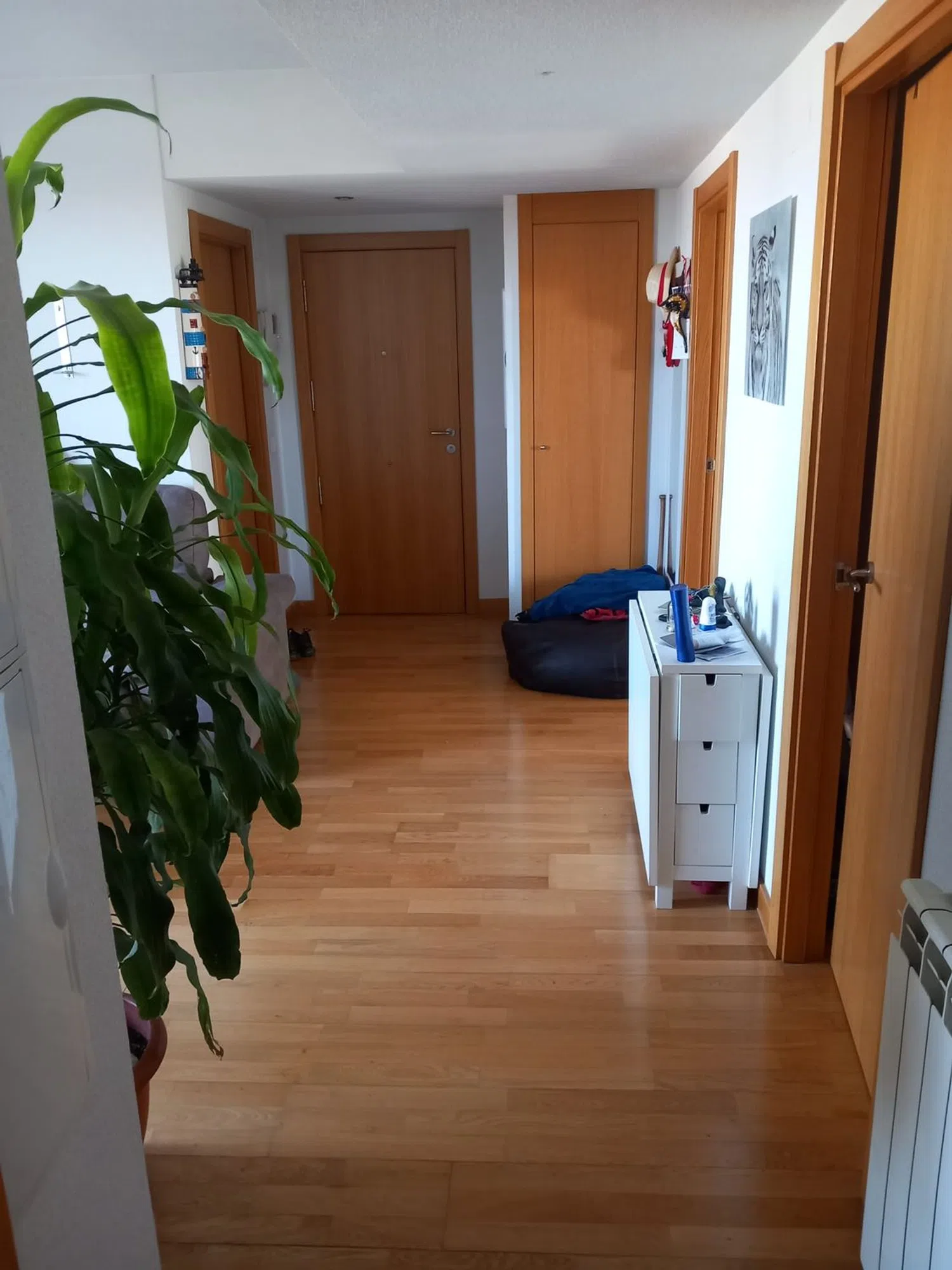 Ático en avenida los Almendros, 276 - Foto 5