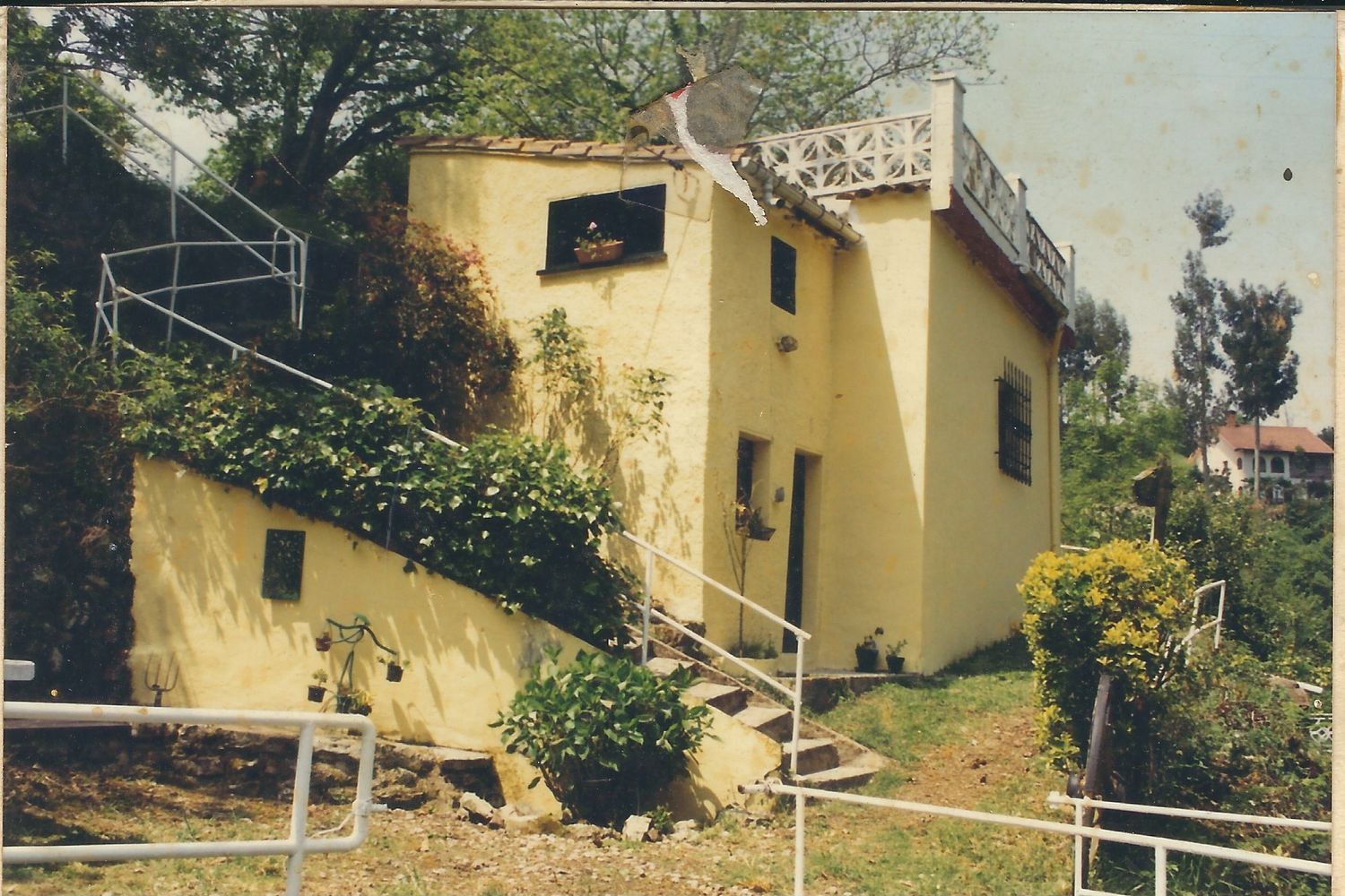 Finca rústica en Camino de los Molinos s/n - Foto 17