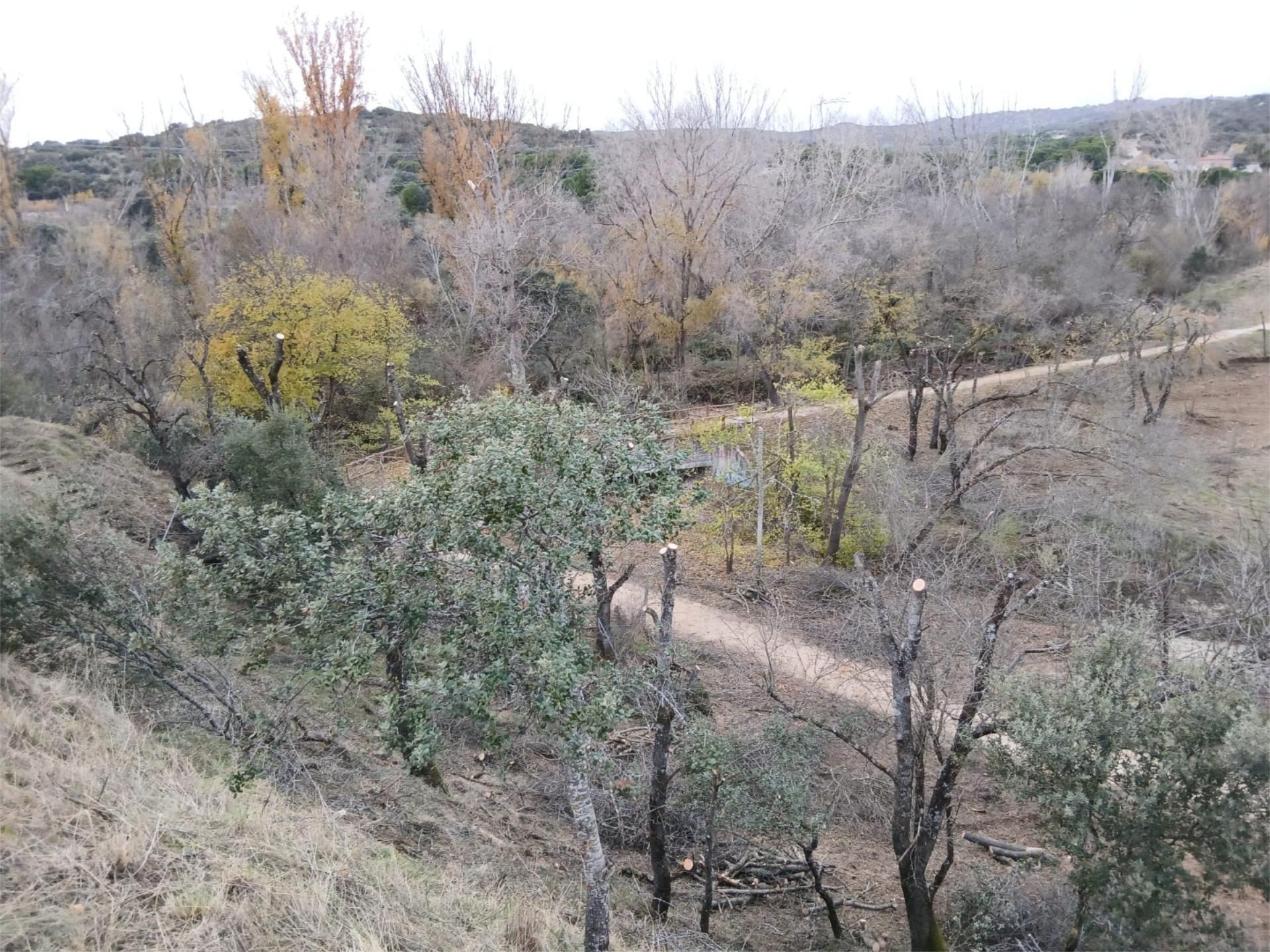 Finca rústica en  M-505 10 - Foto 8