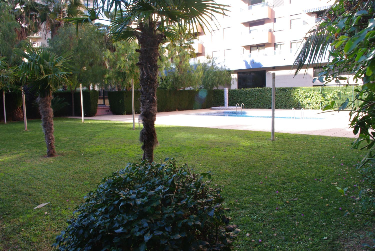 Piso en calle del 3 d'Abril de 1979, 4 - Foto 17