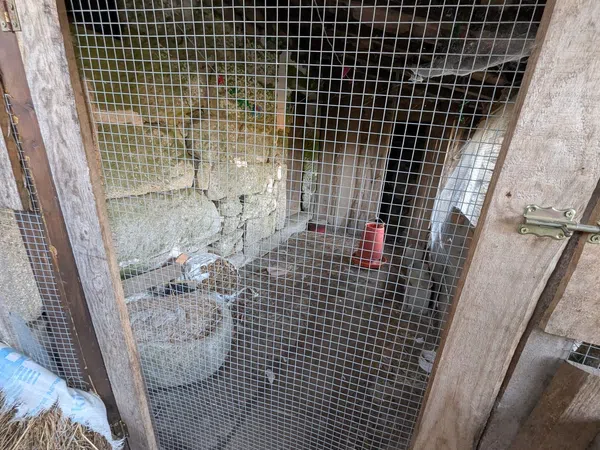 Casa de pueblo en Lugar Pazos de Pereda s/n - Foto 7