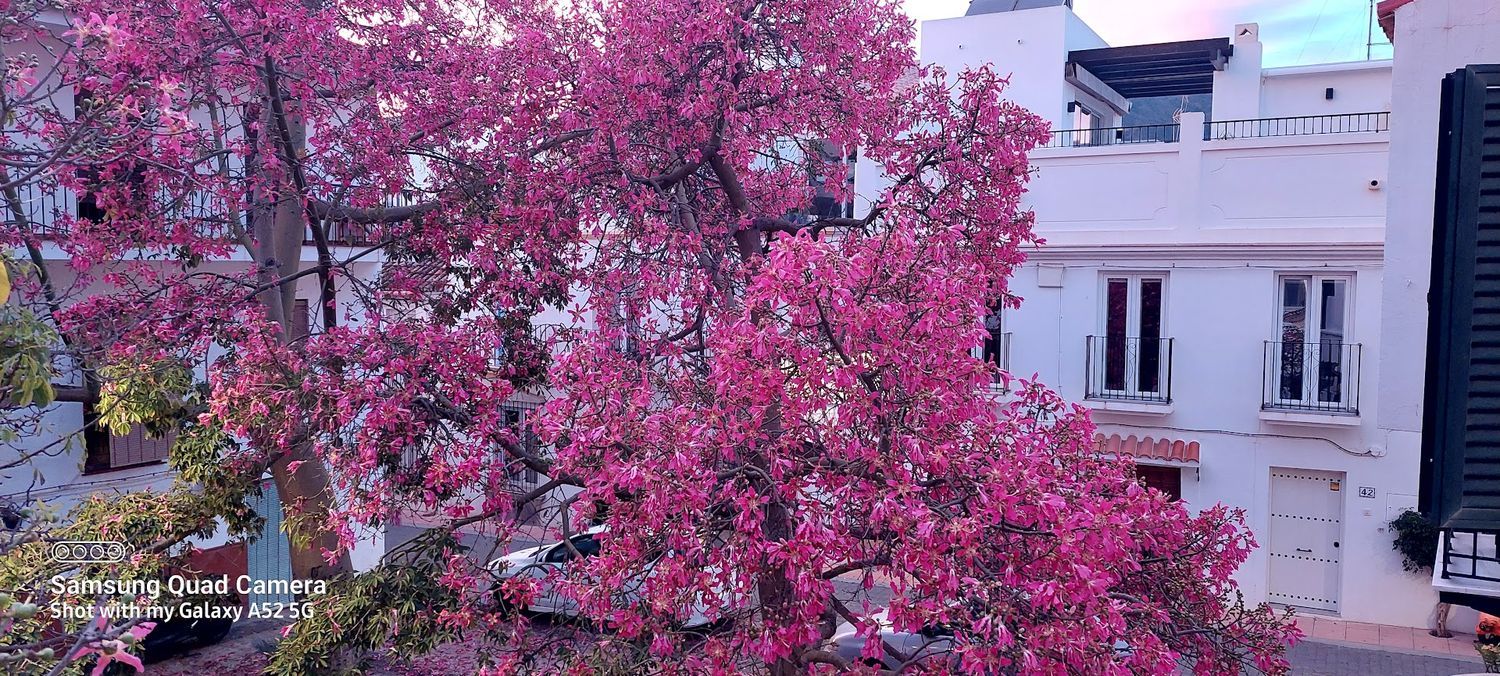 Chalet adosado en pozo Prado, 7 - Foto 22