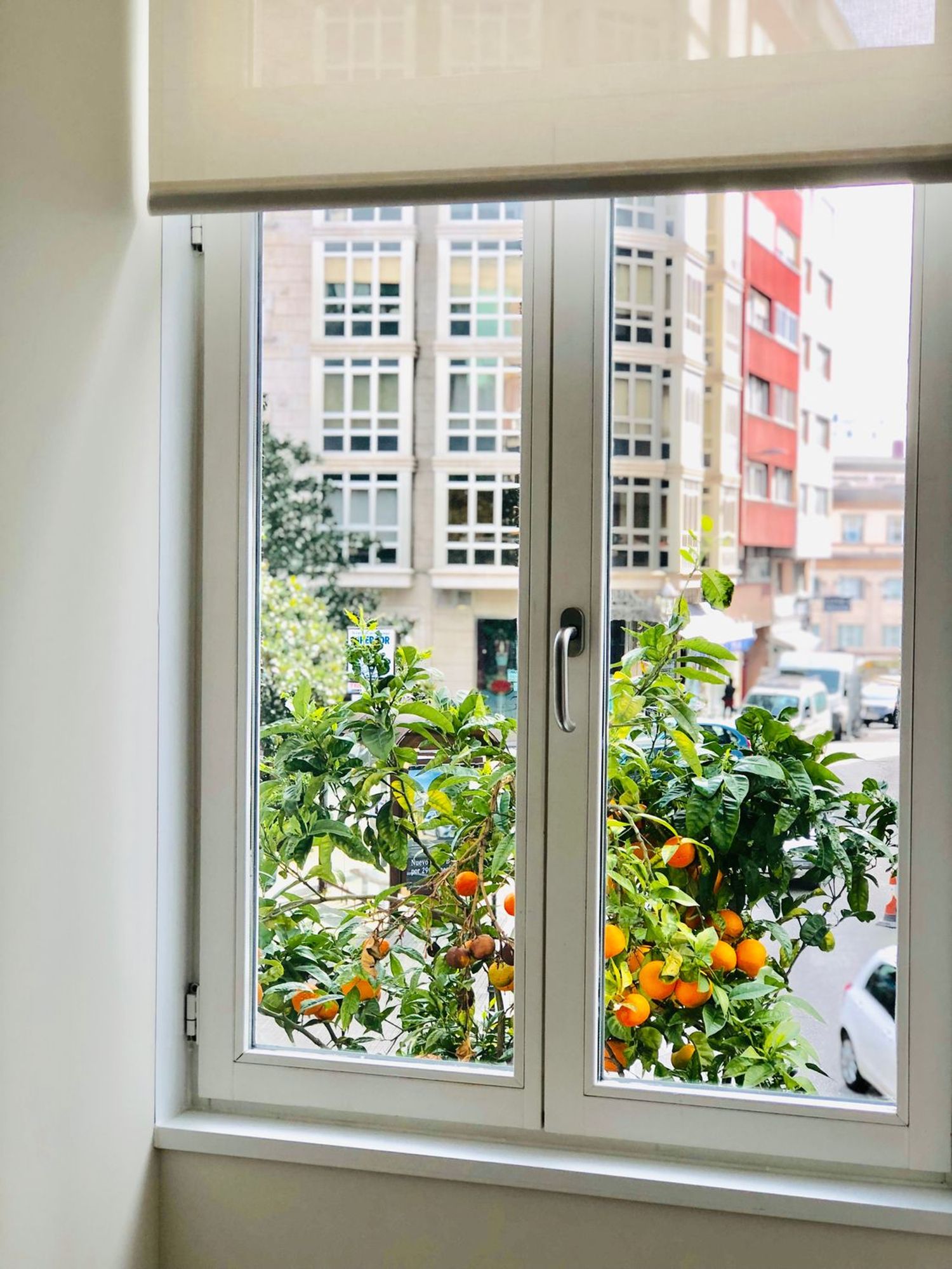 Piso en Os Mallos - Foto 9