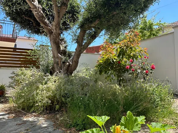 Casa o chalet independiente en Avenida França, 44, Vallpineda-Rocamar, Vallpineda-Rocamar - Foto 5
