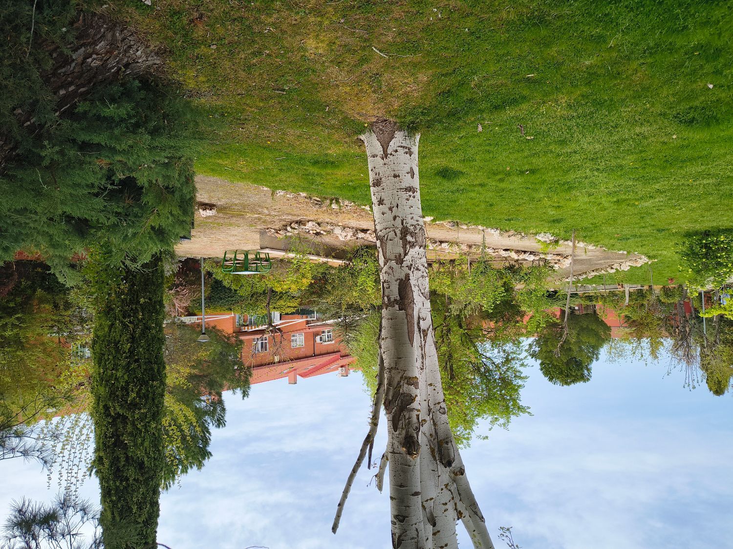 Chalet adosado en Zona Estación- Centro - Foto 3