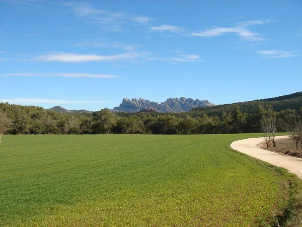 Masía en Masía en Camino de masia can brugues s/n - Foto 4