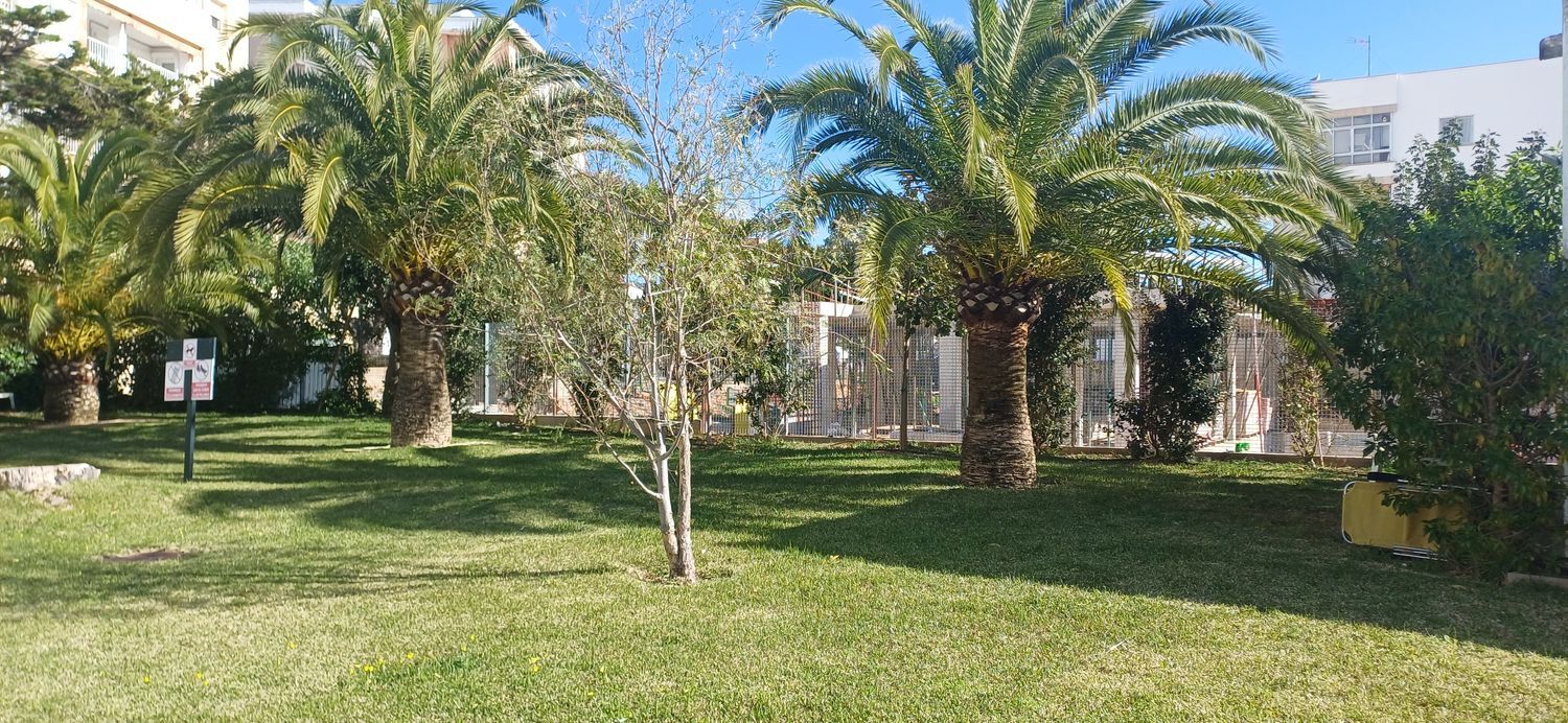 Piso en Palmanova - Foto 30