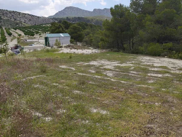 Cortijo en Carretera de la losa s/n - Foto 9