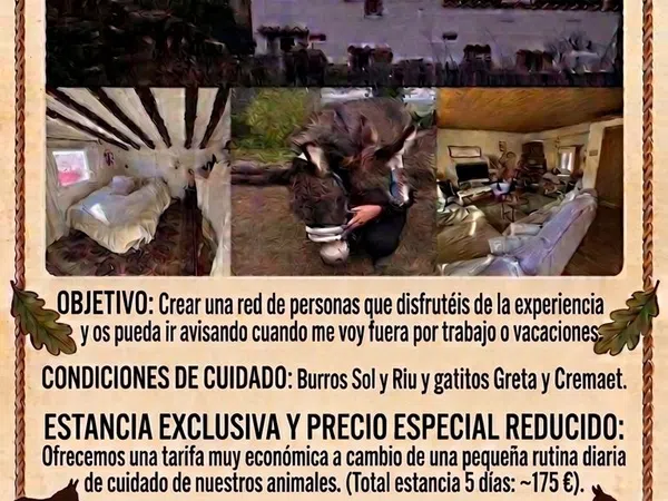 Finca rústica en Aldea Rural s/n - Foto 2