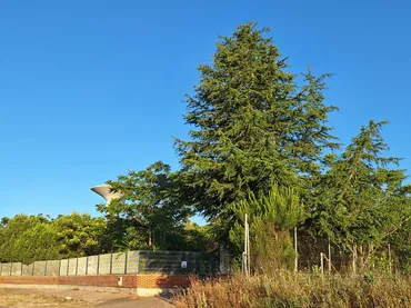 Chalet en  Camino Alto de Tudela de Duero 417 - Foto 6