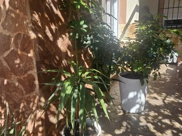 Planta baja en  Calle Castillete 59 - Foto 4