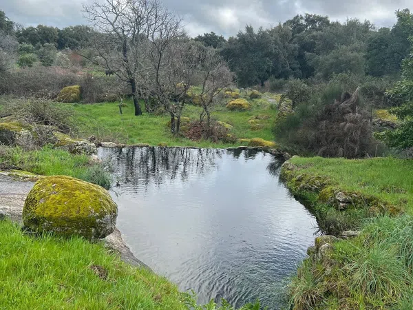 Finca rústica en Lanchuelas, 1 - Foto 15