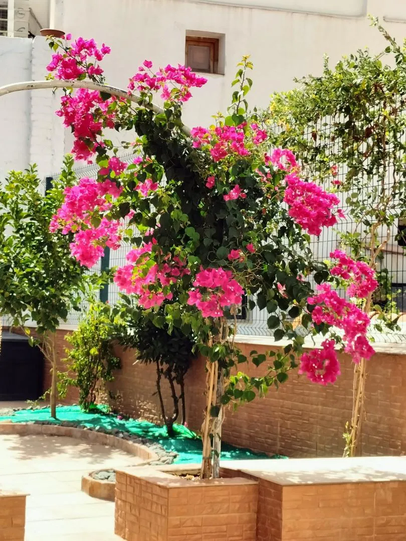 Chalet en  Calle Zenete 1