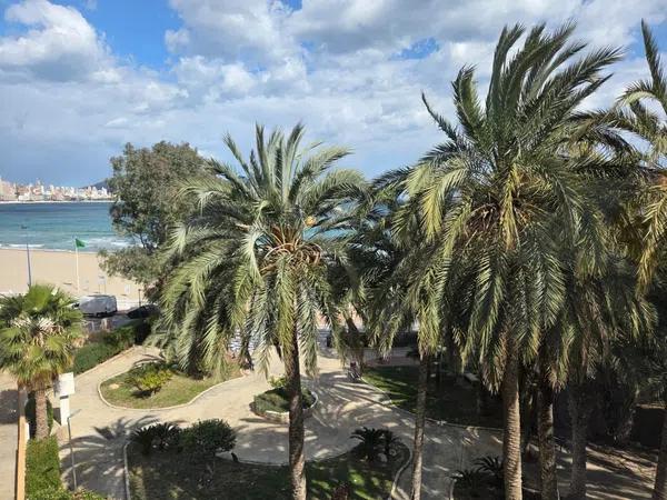 Piso en Avenida Vicente Llorca Alós, 36 - Foto 14