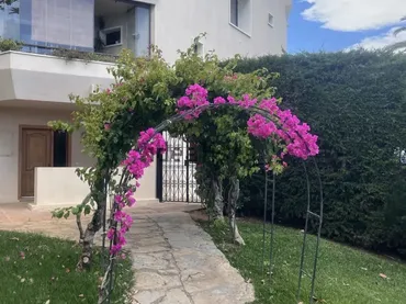 Apartamento en  Calle Aguamarina 1 - Foto 1