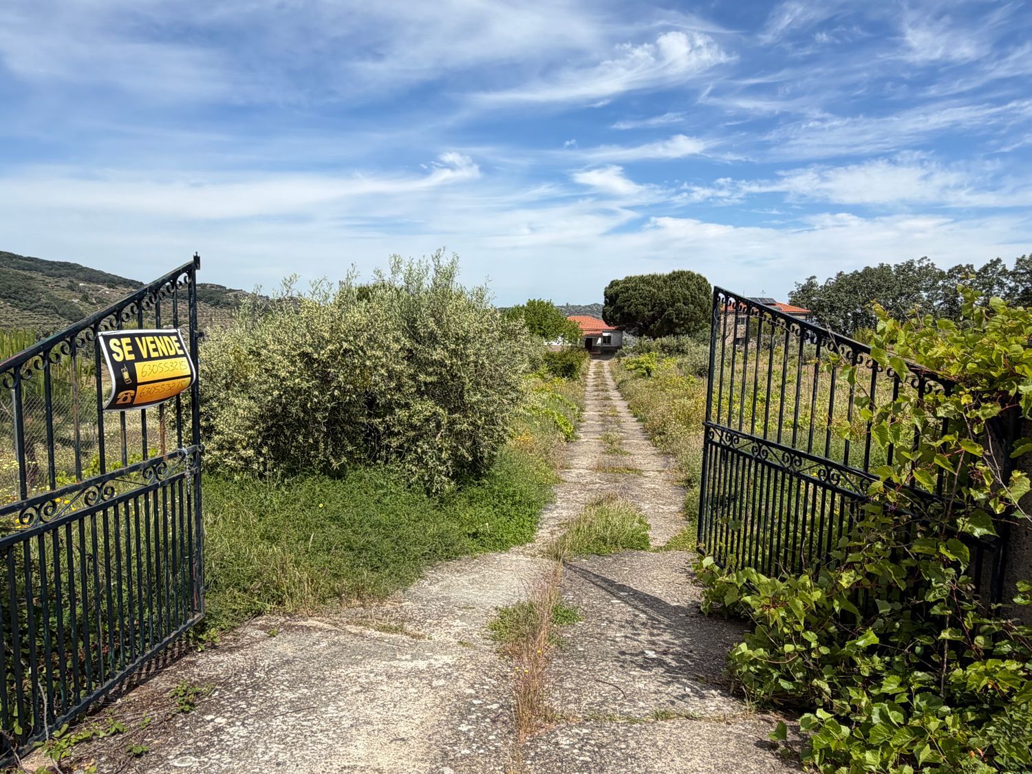 Finca rústica en Finca Bardasquillo s/n - Foto 2