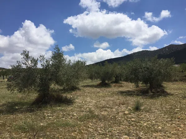 Cortijo en Cortijo en Al-7101, 1 - Foto 9