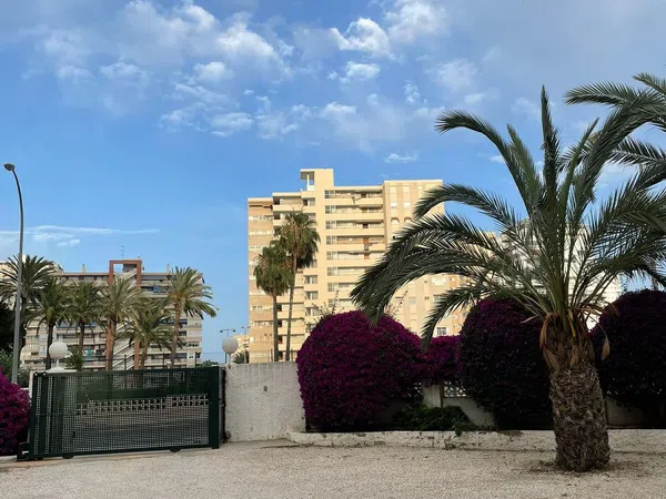 Piso en Avenida De Santander, 11, Playa de San Juan - Foto 18