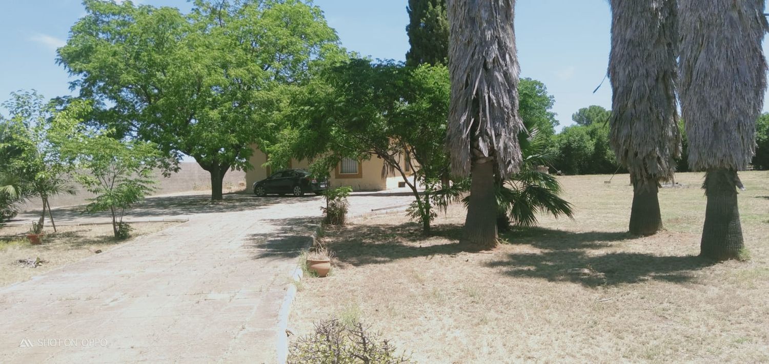 Casa o chalet independiente en Urbanización las Monjas, 516 - Foto 3