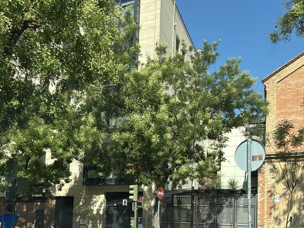 Piso en avenida de Miraflores, 1 - Foto 36