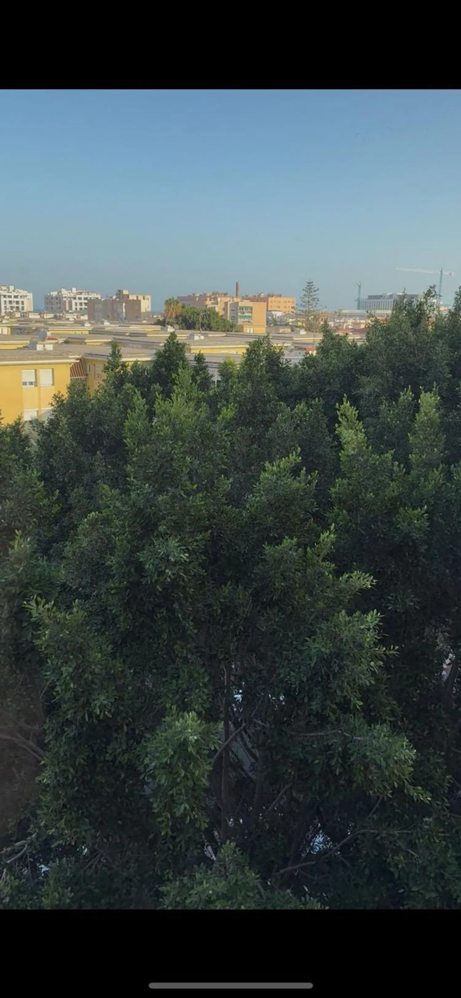 Piso en plaza Ricardo Verdugo Landi, 5 - Foto 3