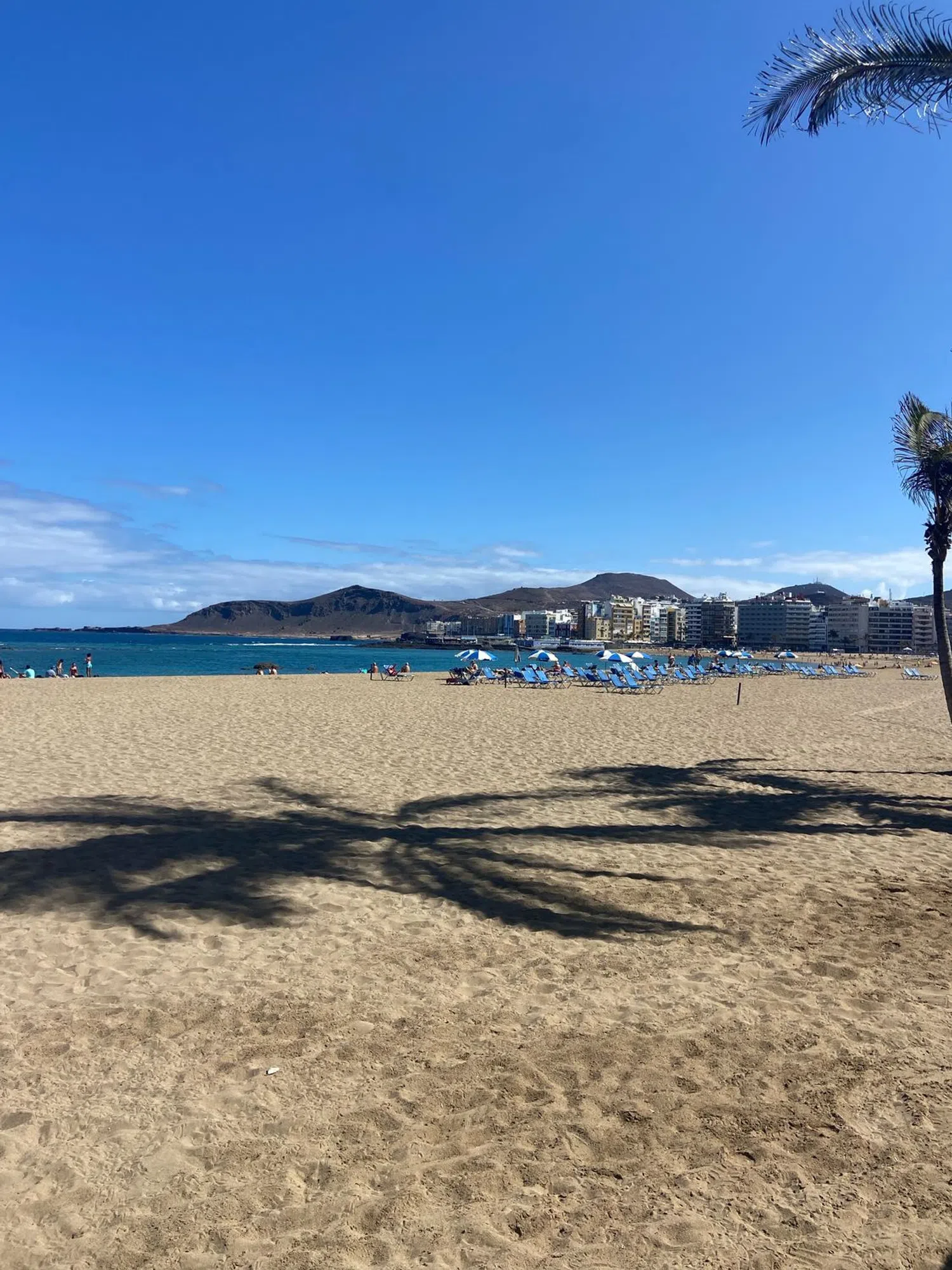 Estudio en calle secretario Artiles, 92 - Foto 7