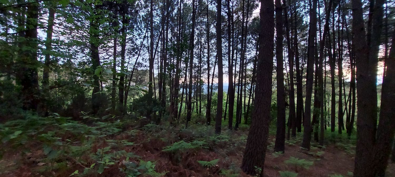 Casa o chalet independiente en Carretera Forestal de la Pregonera, 924 Av - Foto 7