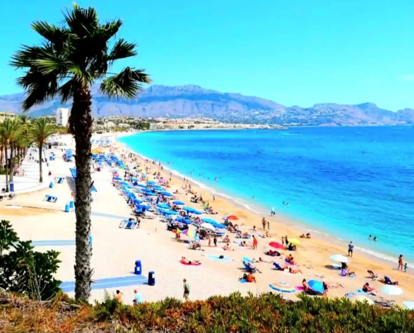 Piso en  Camí Vell d'Altea 3 - Foto 3