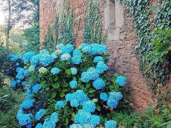 Palacio en Palacio en Monforte de Lemos - Foto 36