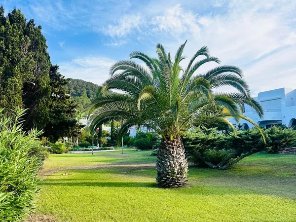 Piso en Santa Eulalia del Río, Santa Eulalia del Río - Foto 6