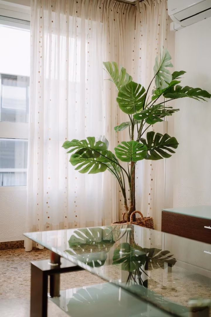 Piso en  Calle de Álvarez Sereix 5 - Foto 13