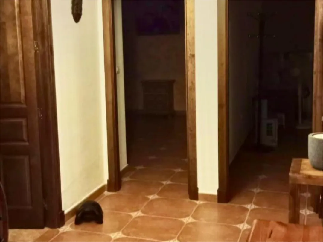 Chalet en  Carretera Madrid-Cádiz 24D - Foto 33