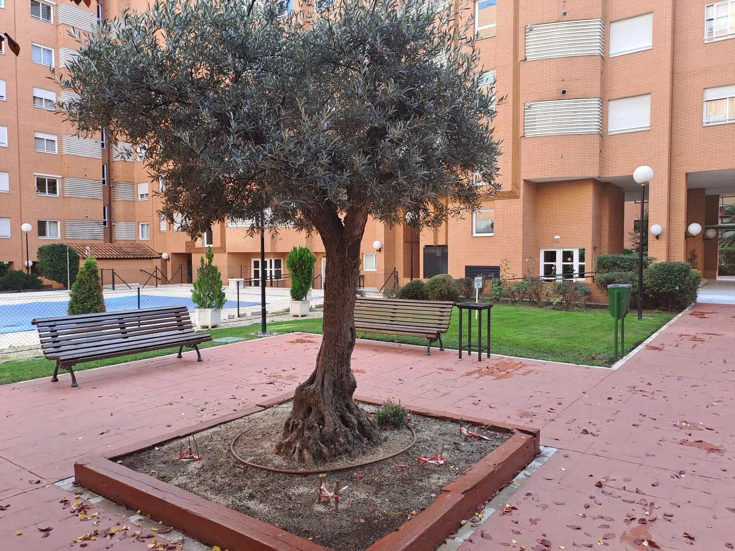 Piso en calle Carranque, 14 - Foto 29