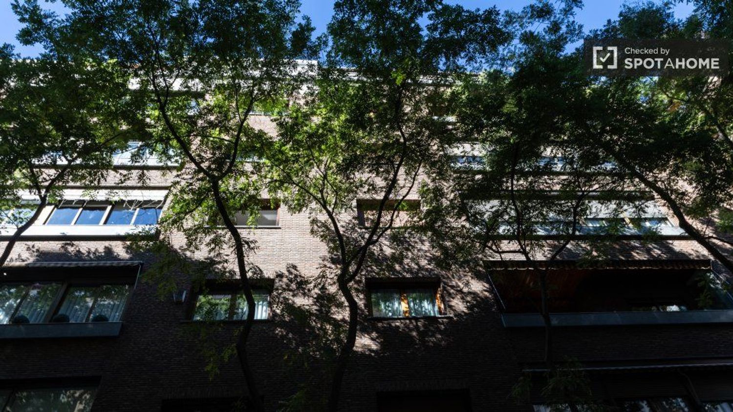 Estudio en Calle de Zurbano, Almagro - Foto 16