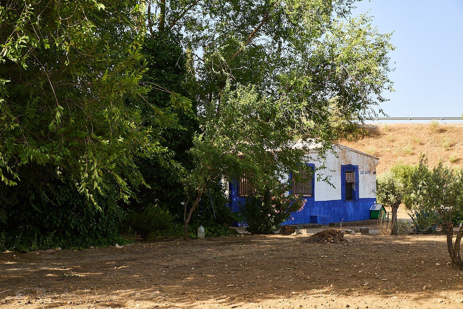 Finca rústica en Camino de la Mata s/n - Foto 27