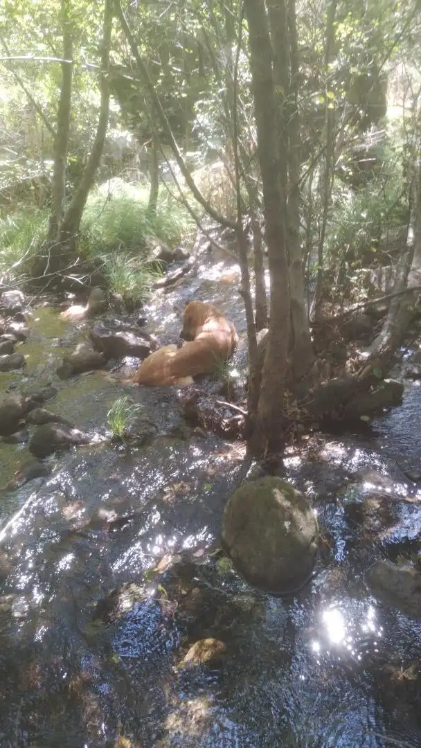 Finca rústica en  Avenida Virgen del Puerto 91 - Foto 8
