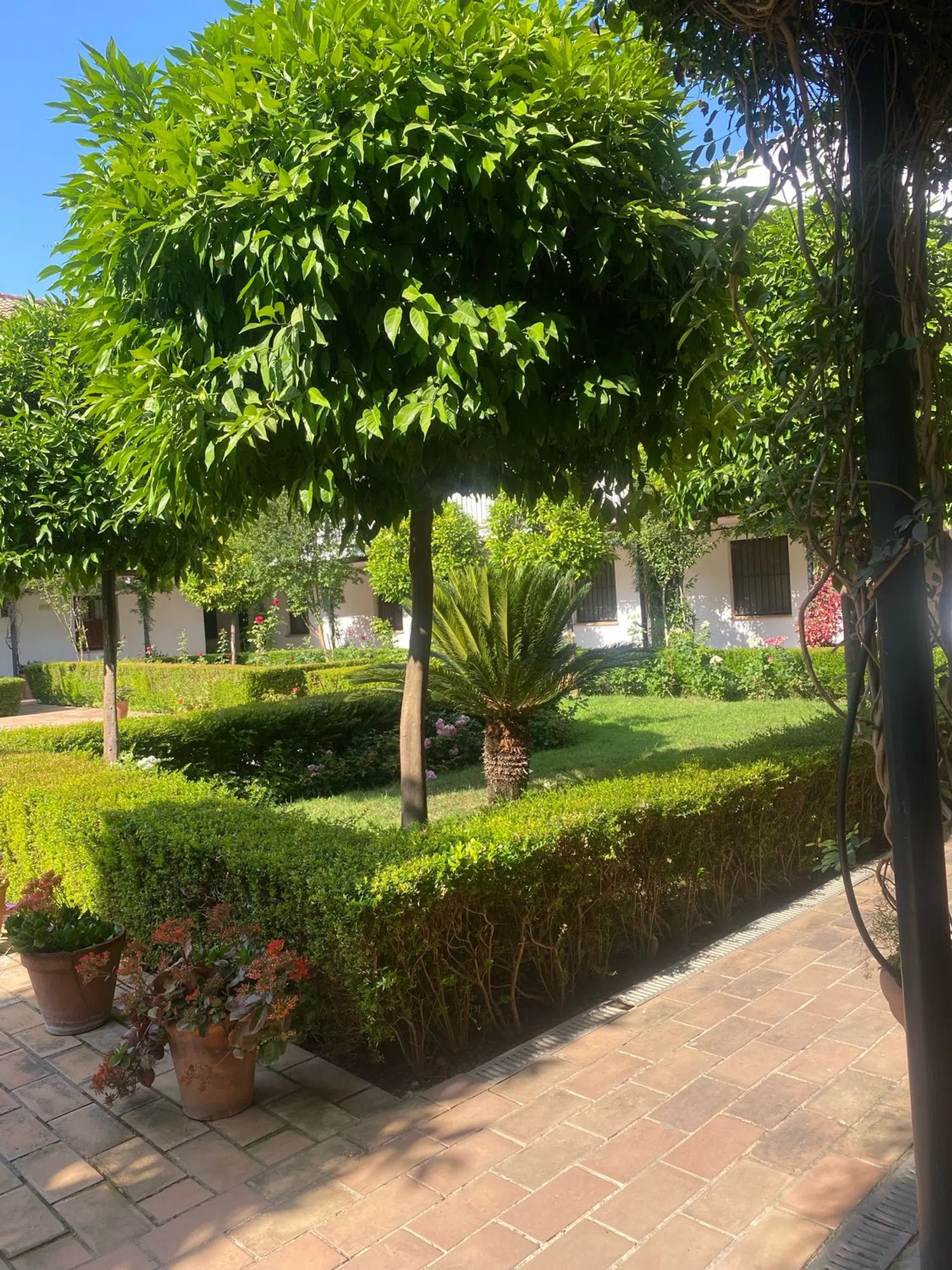 Dúplex en calle San Laureano s/n - Foto 3