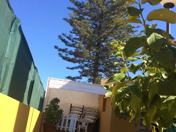 Chalet adosado en Calle Cabo Cope, 3, El Rinconcillo - San José Artesano, El Rinconcillo - San José Artesano - Foto 21