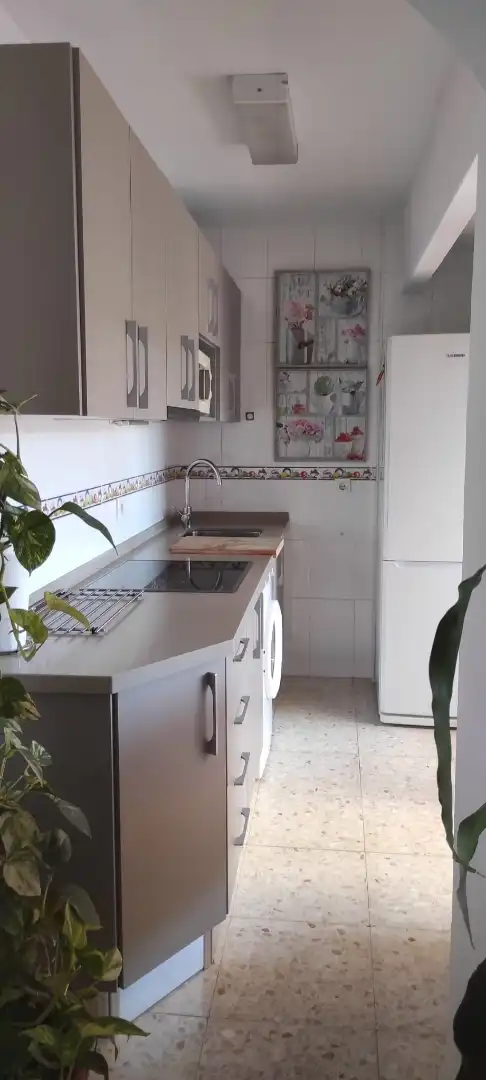 Apartamento en  Calle Ballena 14 - Foto 4