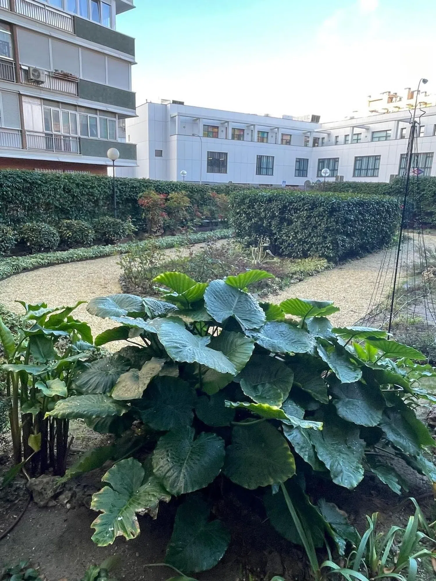 Piso en Barrio Legazpi - Foto 3